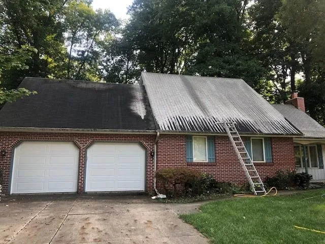Roof with the cleaned half visibly lighter than the uncleaned half
