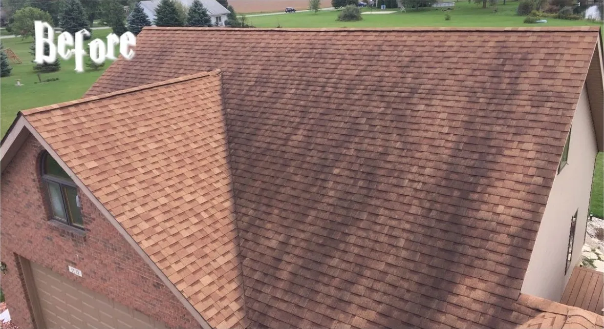 Tan shingle roof before cleaning