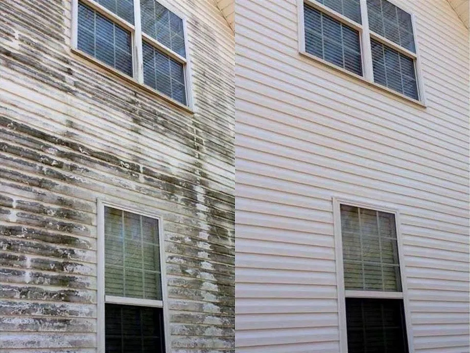 Vinyl siding with green algae on the left and cleaned siding on the right