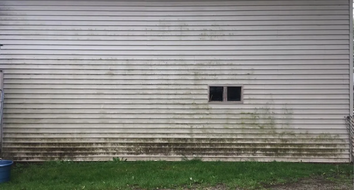 Tan vinyl siding before cleaning