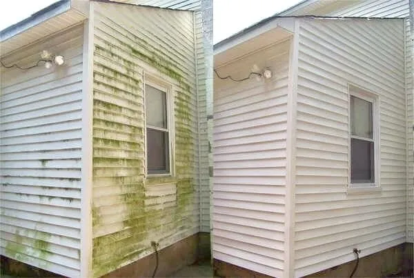 White siding corner with green algae on the left and clean siding on the right